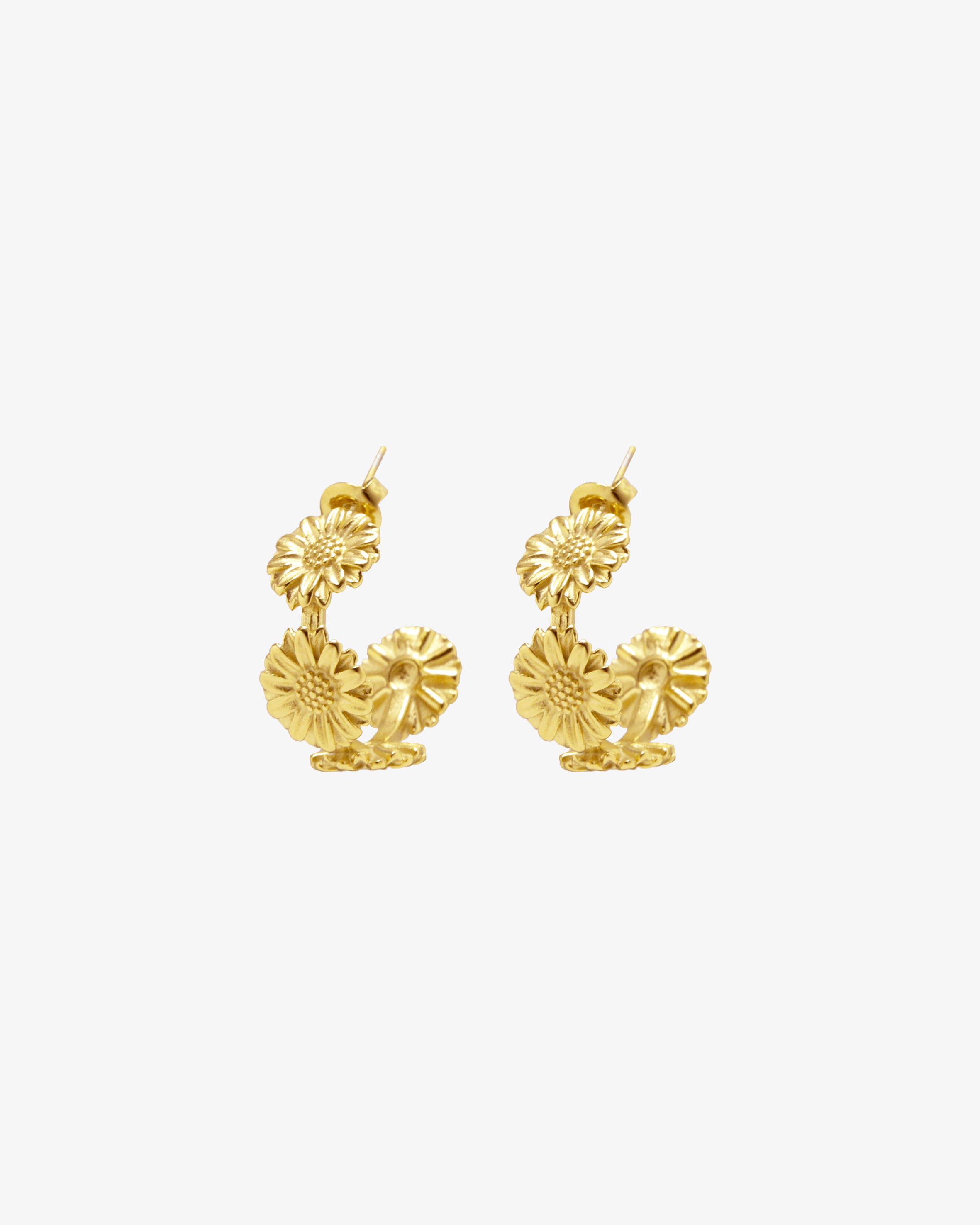 Boucles Daisy - Les Radieuses