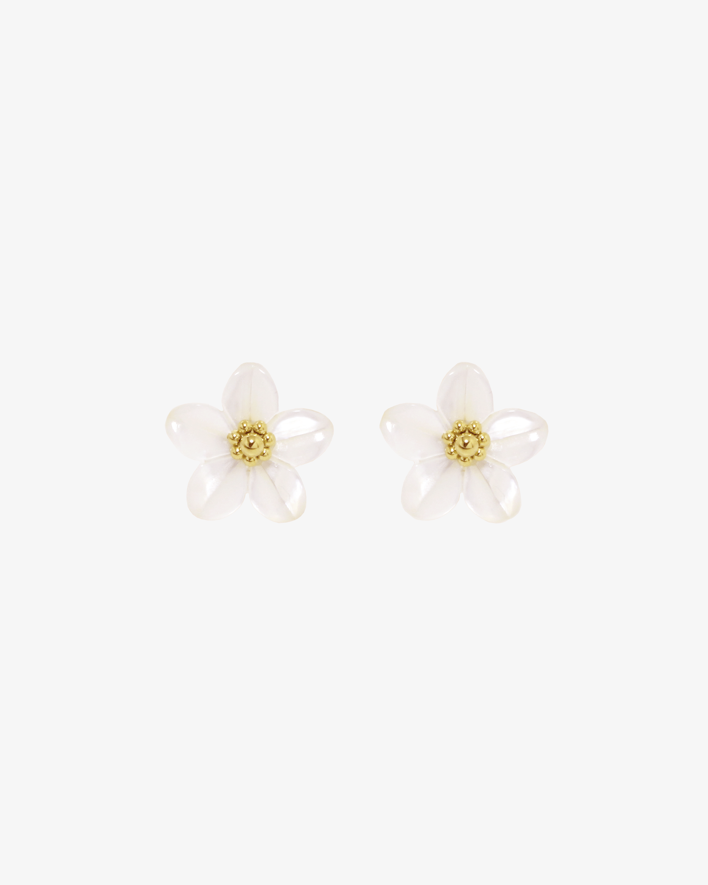 Boucles Naya - Les Radieuses